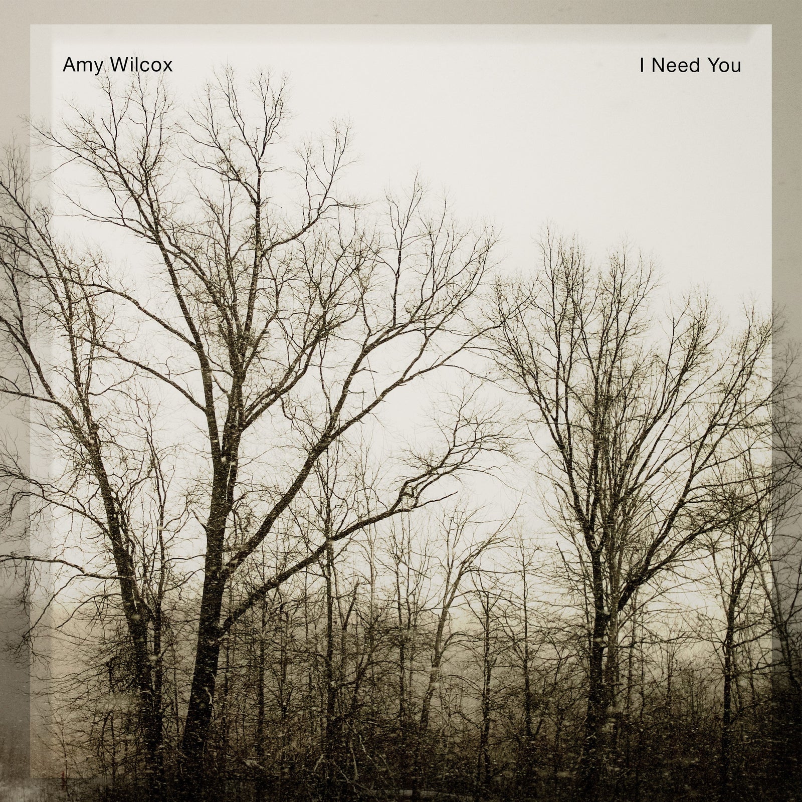 Amy Wilcox Adds Her Voice in Support of Gerry Beckley's Legacy With "I Need You"