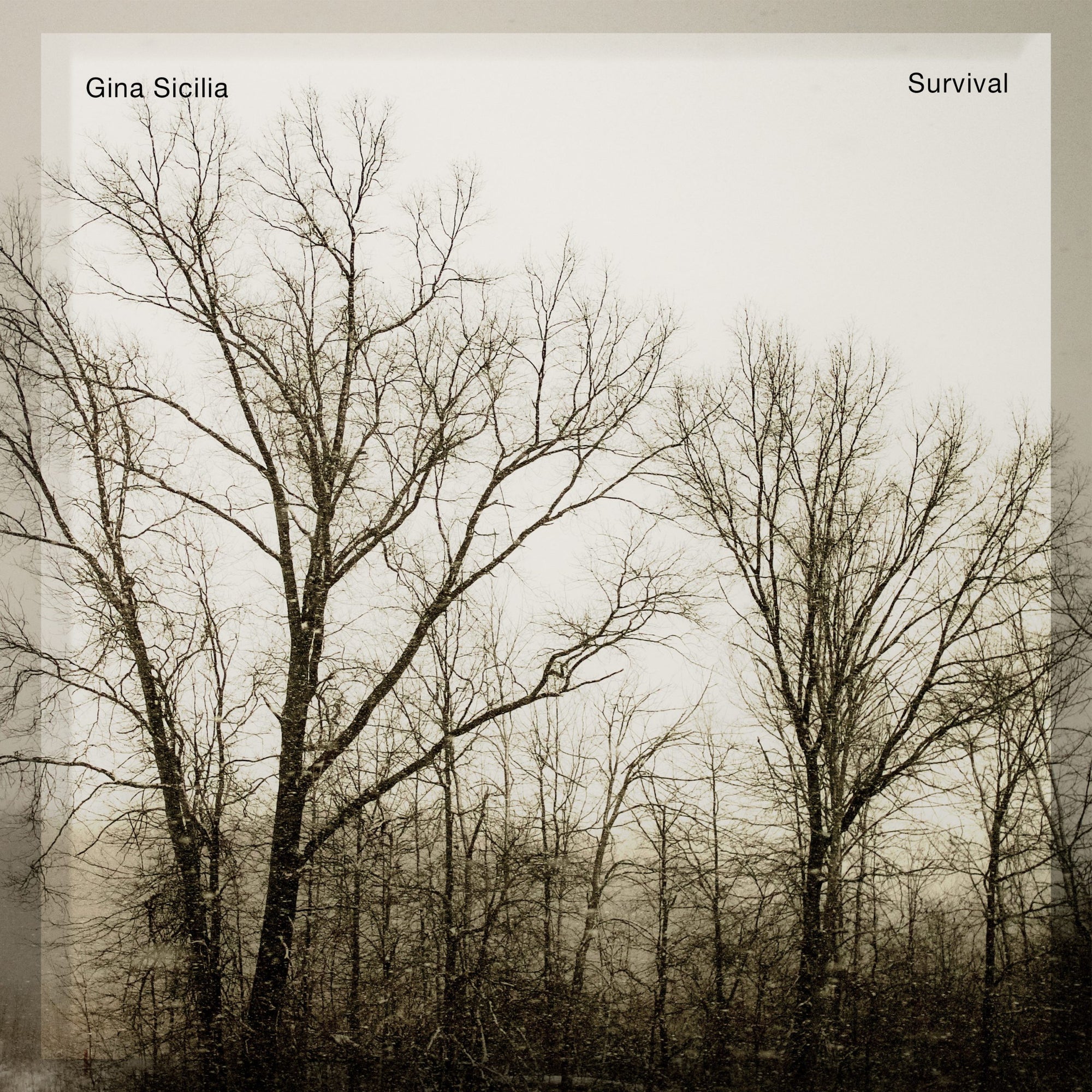 Gina Sicilia Adds Her Voice in Support of Gerry Beckley's Legacy With "Survival"