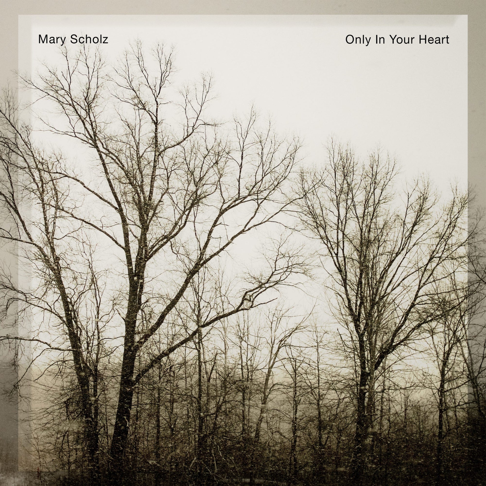 Mary Scholz Supports Blue Élan Artists to Honor Gerry Beckley's legacy With "Only in Your Heart"