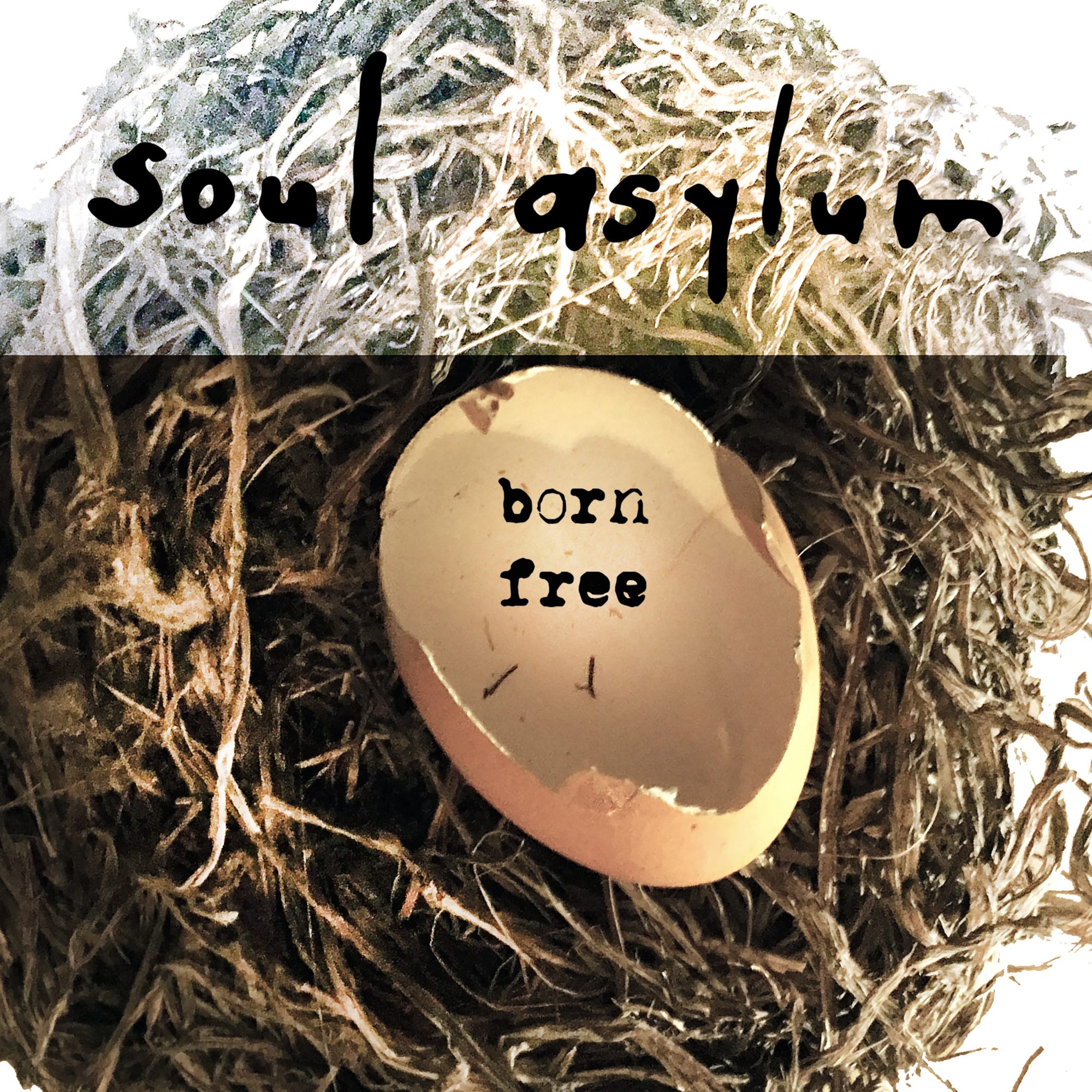 Soul Asylum To Release New Acoustic EP, Born Free