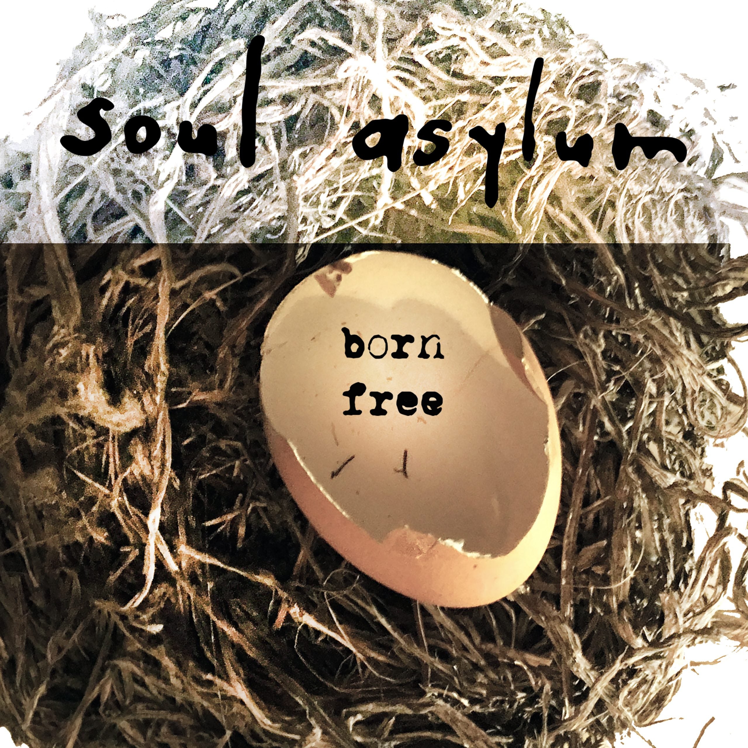 born-free-final-3000pixel-3-
