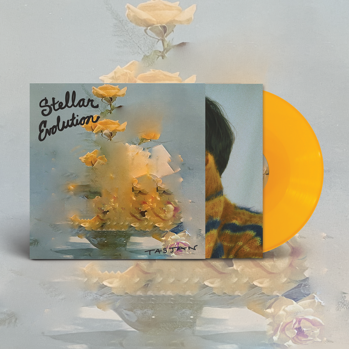 Stellar Evolution - LP