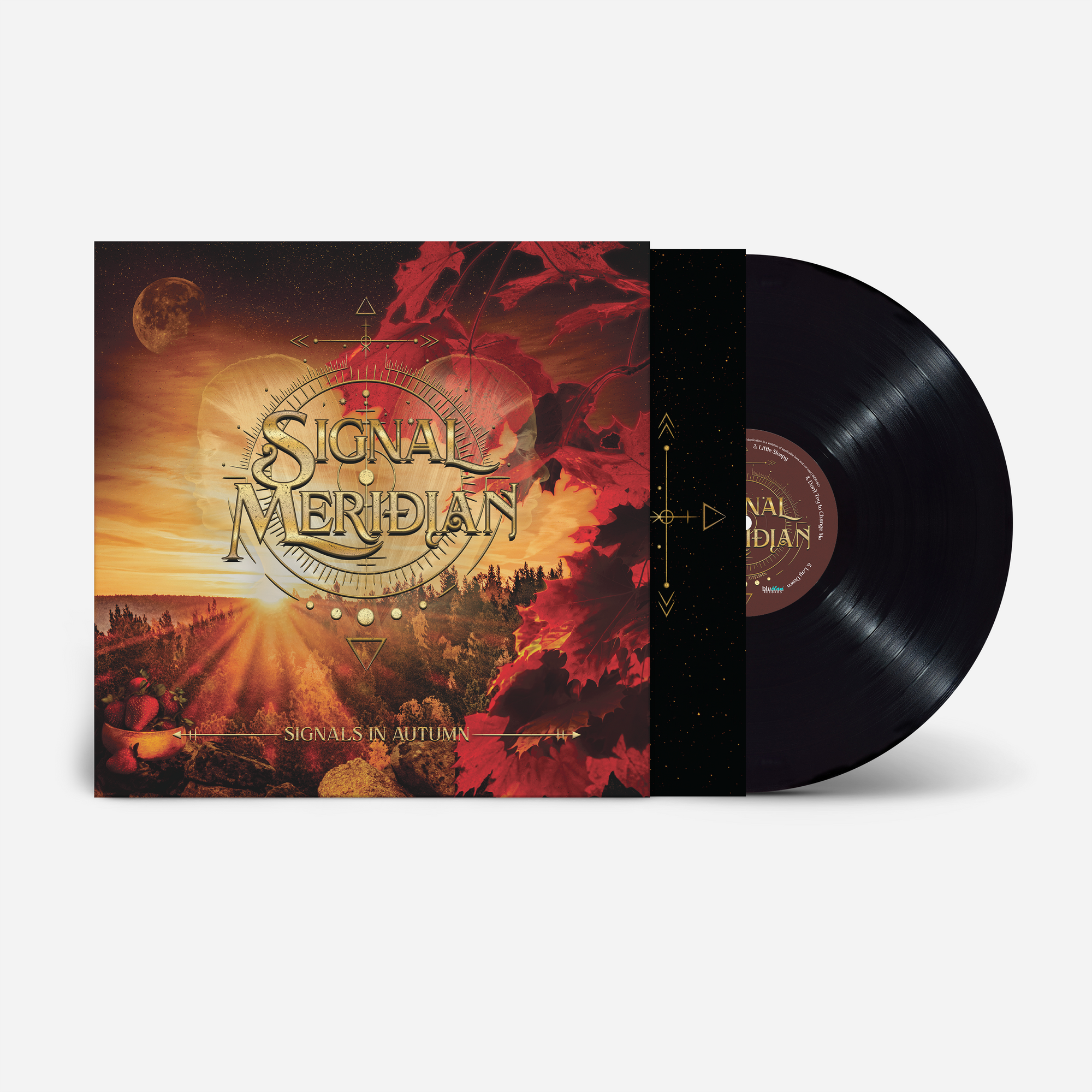 Signals in Autumn - LP
