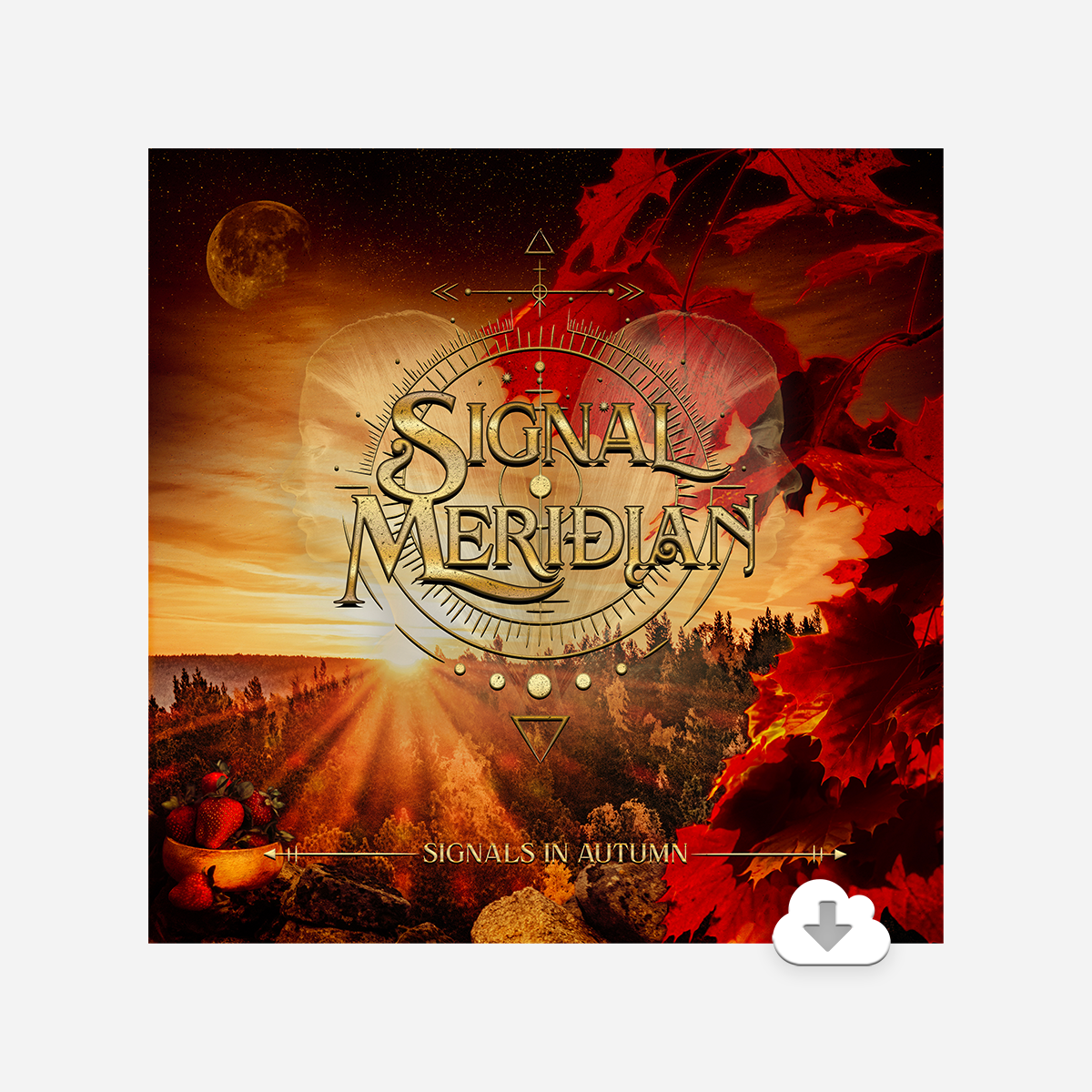 Signals in Autumn - CD
