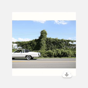 When I Go I Ghost - Digital Album