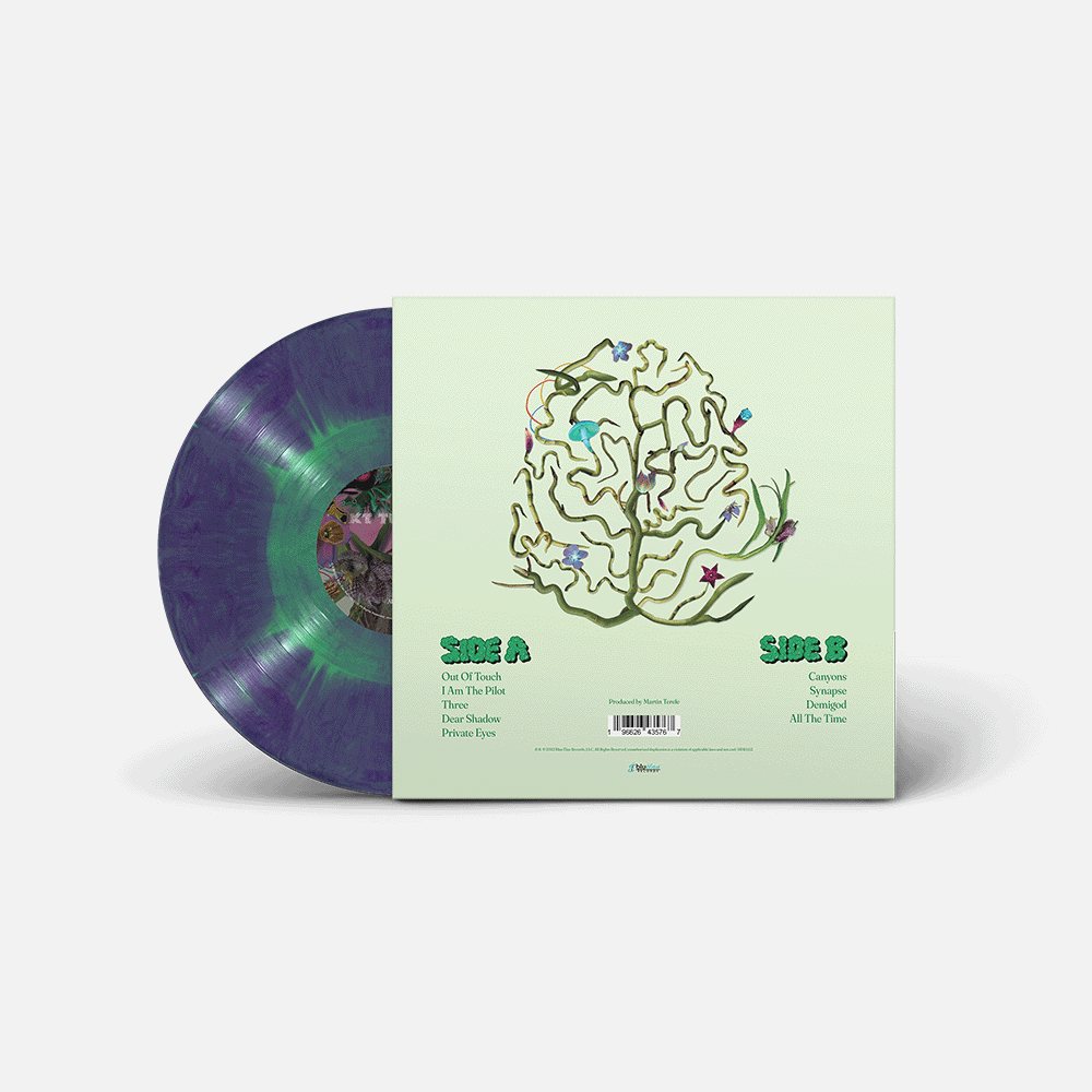 NUT - 180g Cotton Candy LP