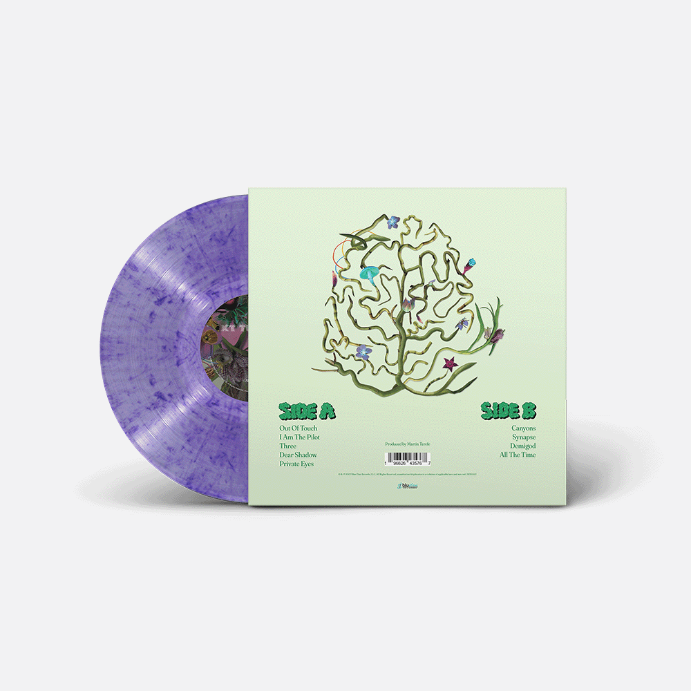 NUT - Violet Meadow LP
