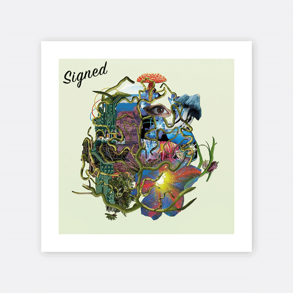 KT Tunstall - NUT | Autographed Giclee Print - Blue Élan Records